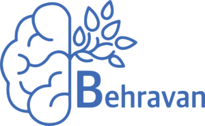Behravan Consulting Inc. logo
